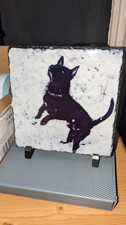 Custom Photo Slate